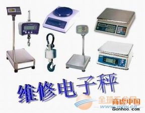武清地区电子秤维修与销售 专业仪器仪表修理服务全解析